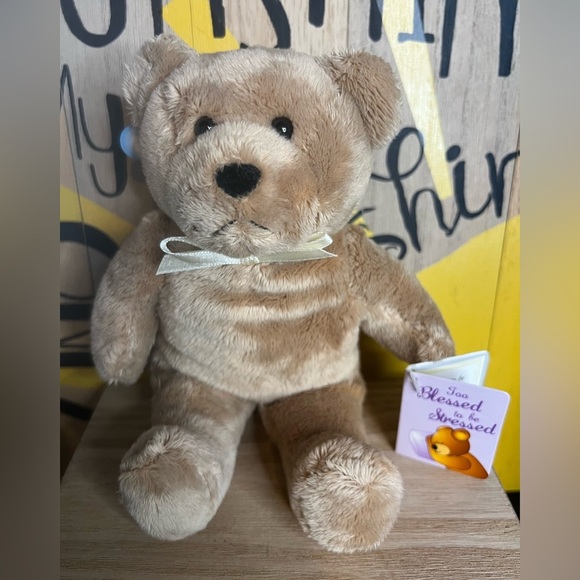 Too Blessed to Be Stressed Holy Bear Plush Stuufed Animal 🐻 2003 - Picture 1 of 14